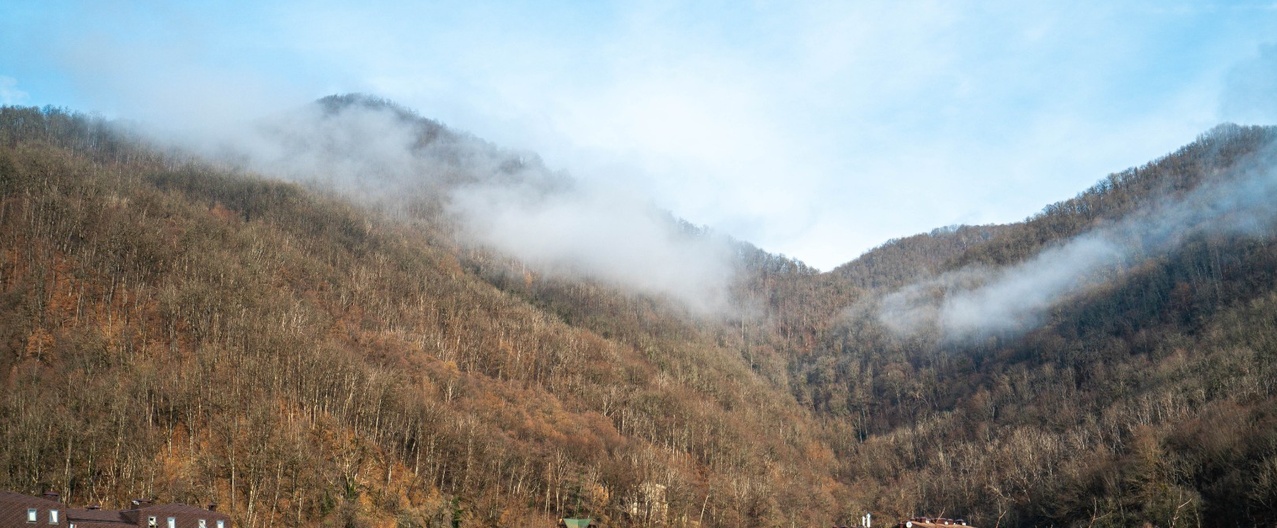 Заказ экскурсий