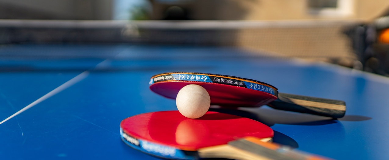 table-tennis-acva-villa-1