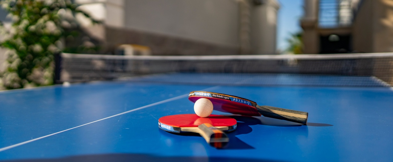 table-tennis-acva-villa-3