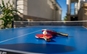 table-tennis-acva-villa-3