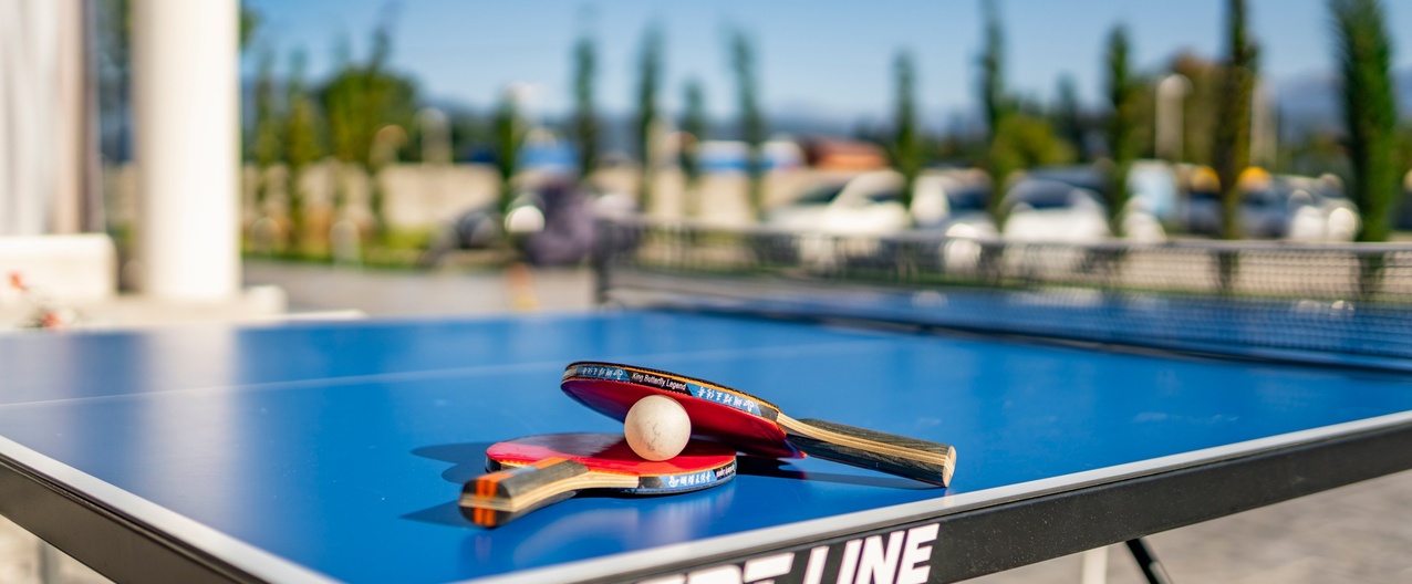table-tennis-acva-villa-0