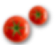 О ресторанах